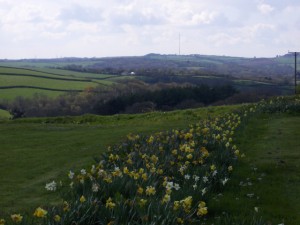 view05
